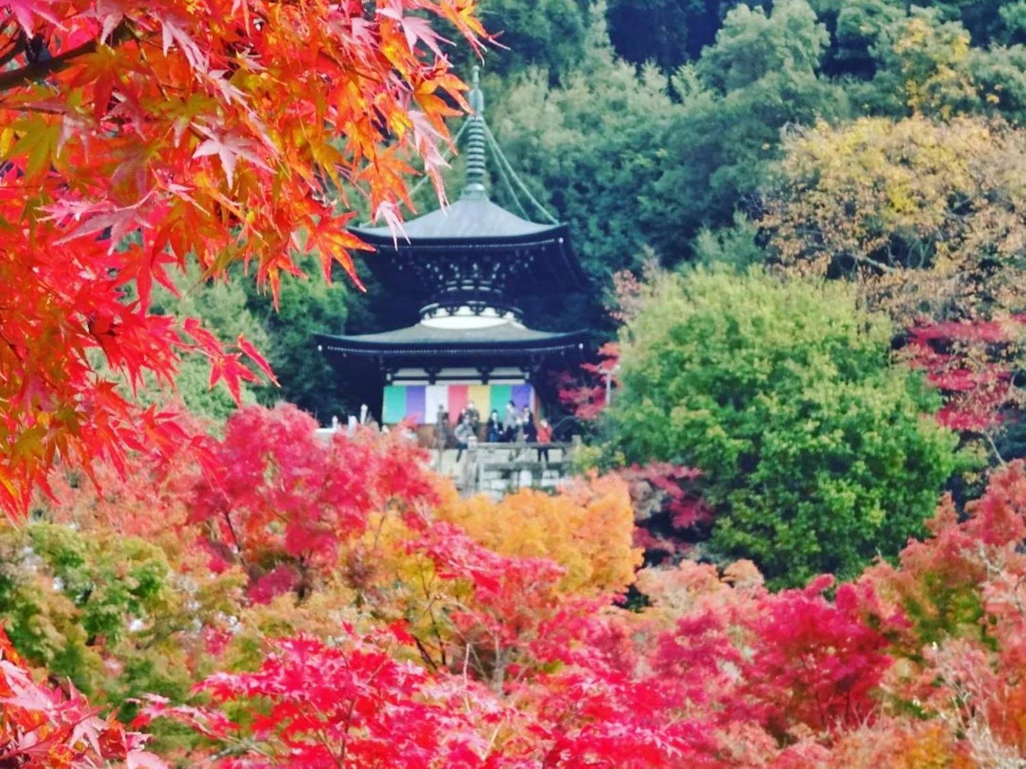 Yamamoto Ryokan Кіото Екстер'єр фото
